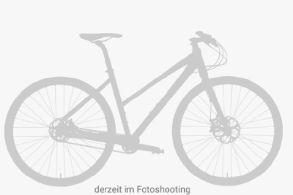 Tds Velos A La Carte Und Handmontiert In Der Schweiz Tds